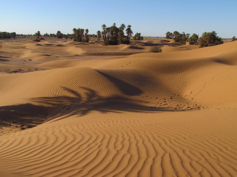 La Maison Du Desert Oulad Driss Exterior foto